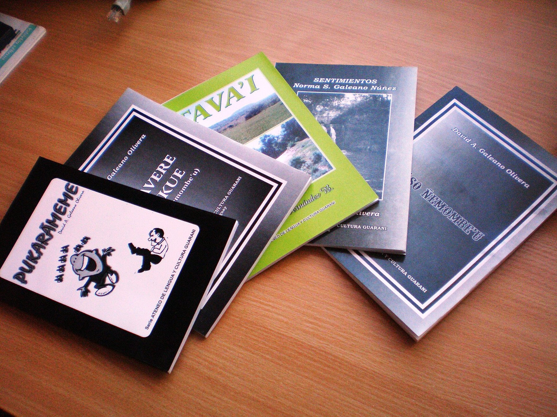 Libros en guaraní