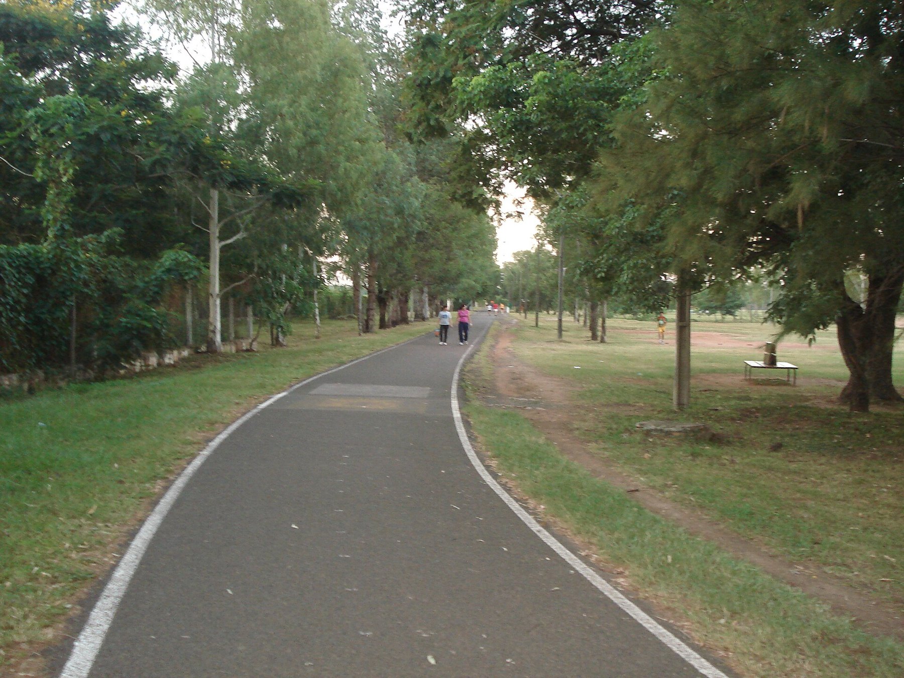 Sendero del Parque Ñu Guasu
